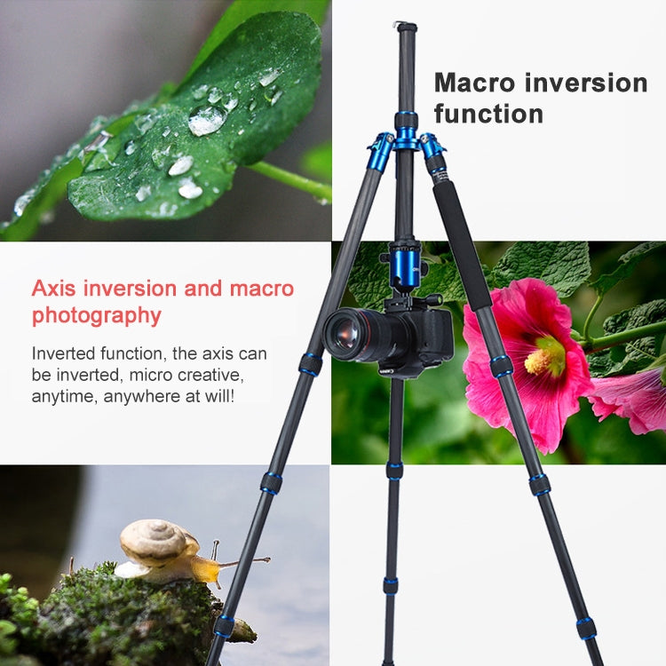 TRIOPO Oubao C-608S Adjustable Portable Carbon Fiber Tripod with Ball Head for SLR Camera - free shipping - PMC TechLife - Order now!