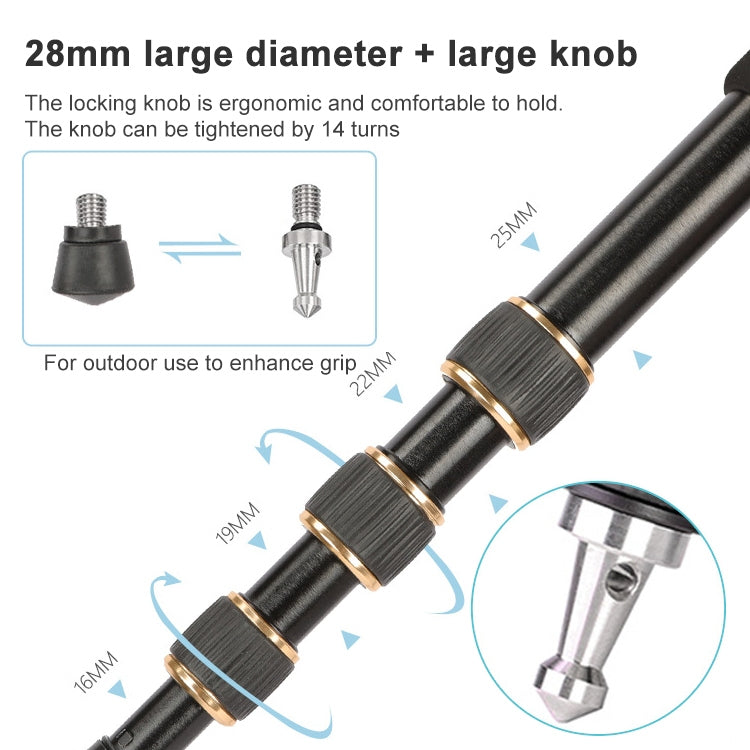 TRIOPO 554 Adjustable Portable Aluminum Alloy Tripod with D-2A Ball Head for SLR Camera - free shipping - PMC Jewellery - Order now!