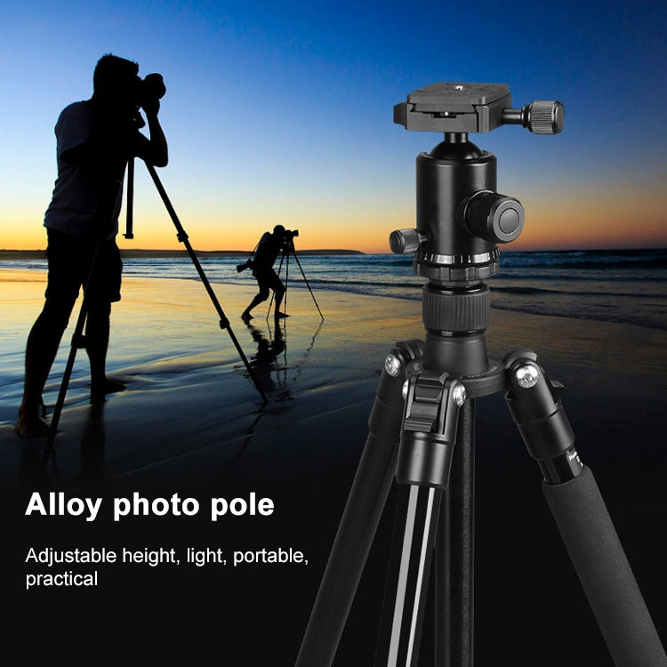 TRIOPO Oubao TA300 Adjustable Portable Aluminum Alloy Tripod with Ball Head for SLR Camera - free shipping - PMC TechLife - Order now!