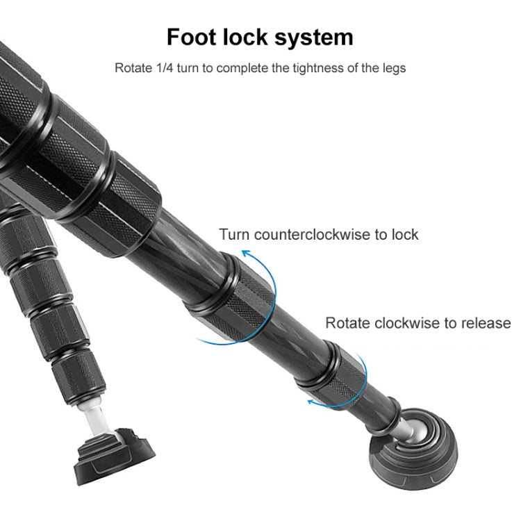 BEXIN P406C Camera Carbon Fiber Monopod Travel Live Selfie Bracket Holder - Monopods by BEXIN | Online Shopping South Africa | PMC TechLife | Buy Now Pay Later Mobicred