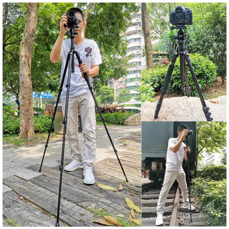 TRIOPO Oubao A-308S Adjustable Portable Aluminum Alloy Tripod with Ball Head for SLR Camera