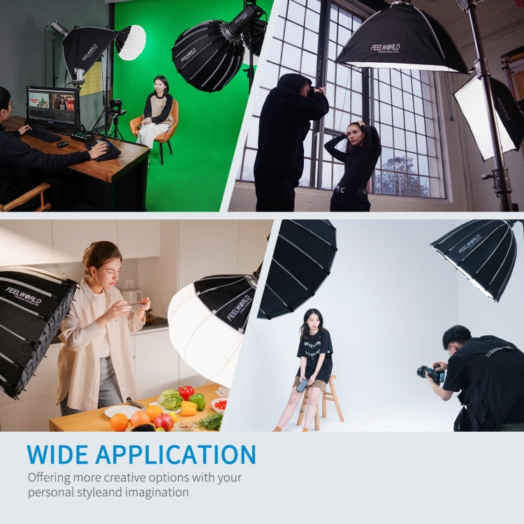 FEELWORLD FL125D 125W Daylight Point Source Video Light, Bluetooth APP Control(EU Plug) - free shipping - PMC Jewellery - Order now!