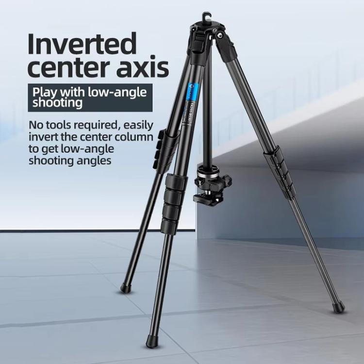 BEXIN TA255-BS30 Portable Collapsible Aluminum Alloy Camera Tripod with Head (Black)