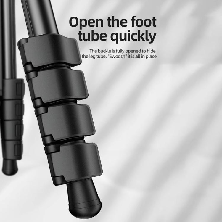BEXIN TA255-BS30 Portable Collapsible Aluminum Alloy Camera Tripod with Head (Black)