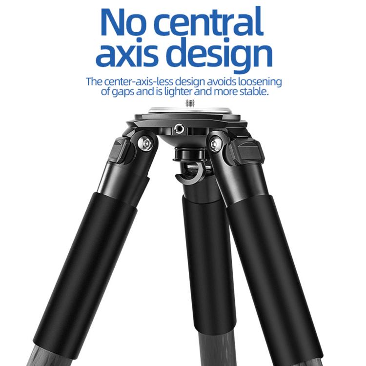 BEXIN ST402C Portable Collapsible Carbon Fiber Camera Tripod (Black) - free shipping - PMC Jewellery - Order now!