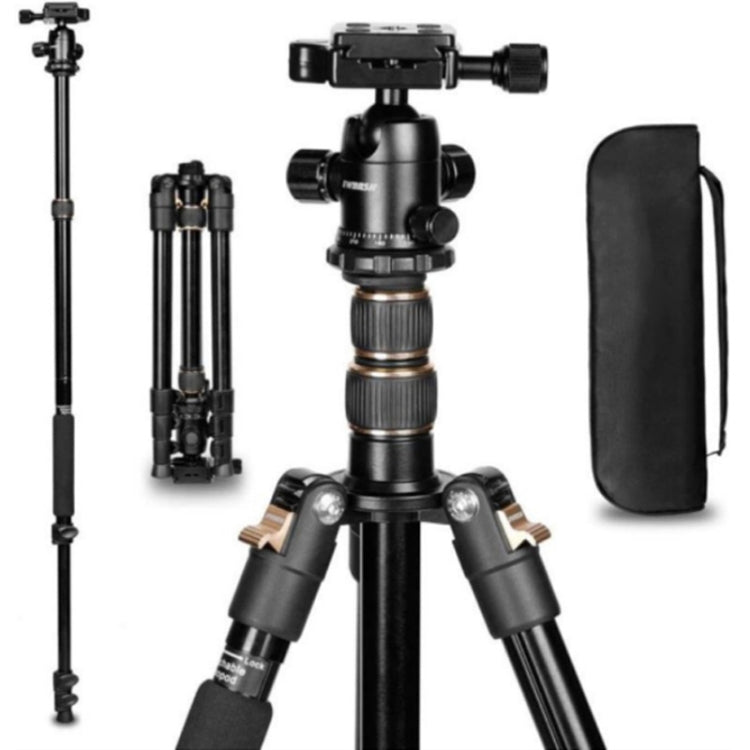 TRIOPO K2508S+B1S Adjustable Portable Aluminum Alloy Tripod with Ball Head for SLR Camera(Gold)
