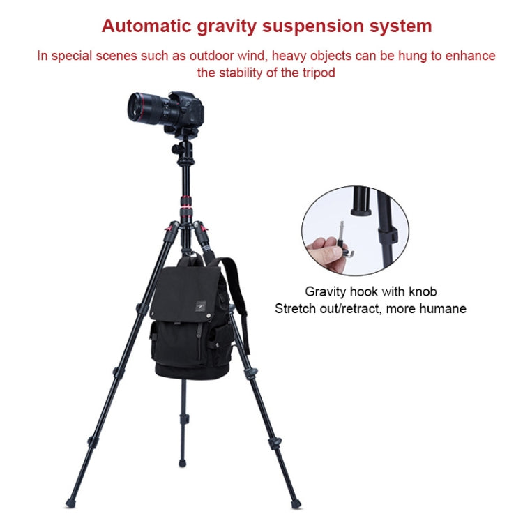 TRIOPO K2508S+B1S Adjustable Portable Aluminum Alloy Tripod with Ball Head for SLR Camera(Red)