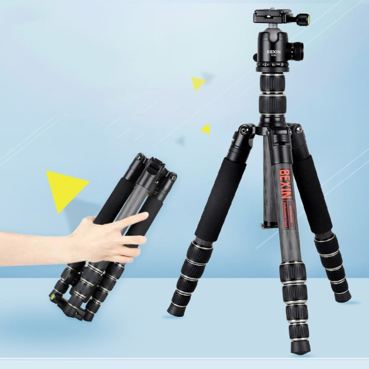 BEXIN BX285C K36 Portable Carbon Fiber Tripod for Dslr Digital DV Camcorder - free shipping - PMC Jewellery - Order now!