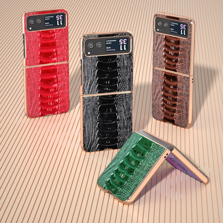 For Motorola Razr 40 Nano Plating Genuine Leather Weilai Series Phone Case(Red) - Motorola Cases by PMC TechLife | Online Shopping South Africa | PMC TechLife | Buy Now Pay Later Mobicred