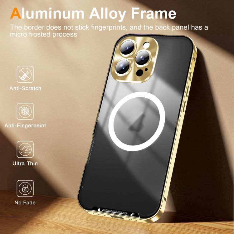 For iPhone 16 Pro Frosted Metal Phone Case(Gold)