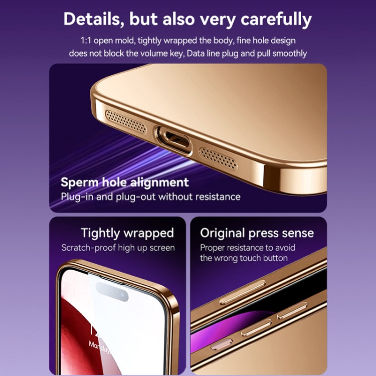 For iPhone 16 Plus SULADA Natural Color Series Electroplating Frosted TPU Phone Case(Silver)