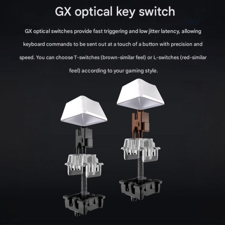 EDA0084458_B7.jpg@d86ea0bfec92a1d266892e652592e727