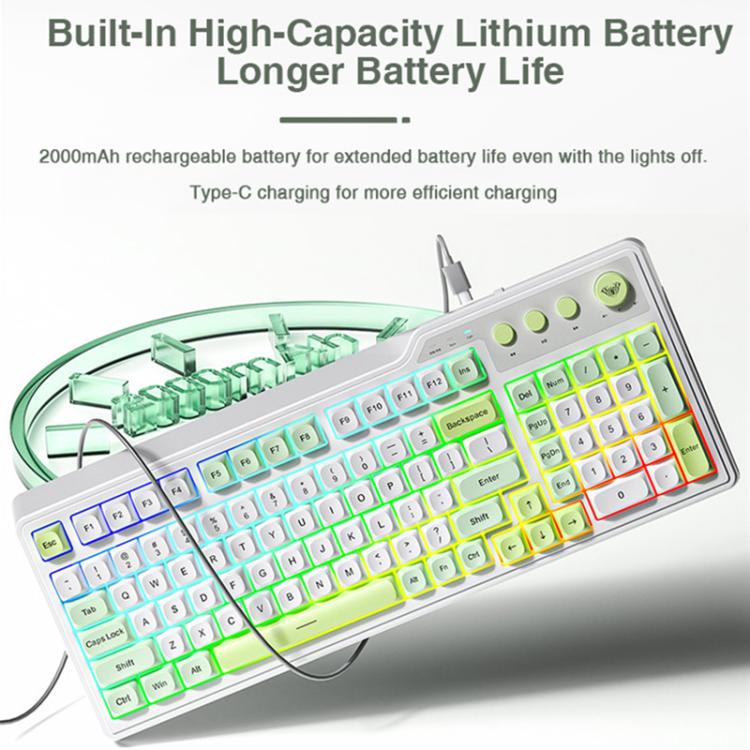 EDA0088719_B6.jpg@d10fdb0bd79e8146722f90dd328ab40e