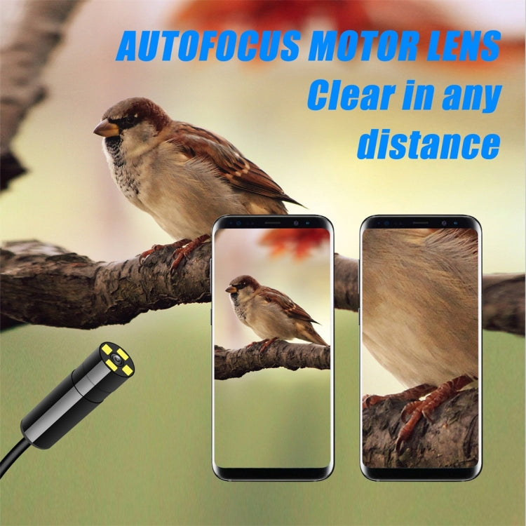F230 IP68 Water-resistant Autofocus WIFI Endoscope Inspection Camera, Length: 5m, Lens Diameter: 14mm