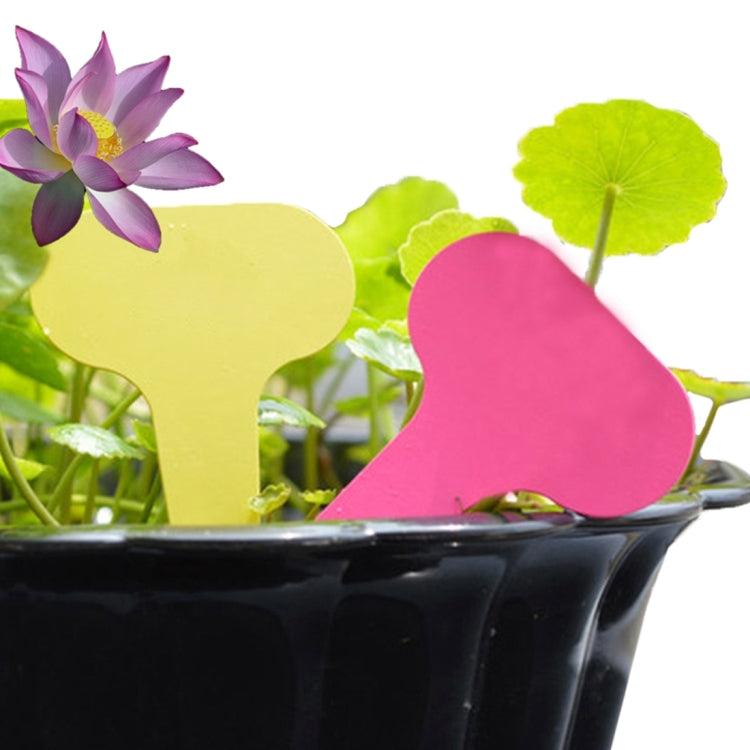 100PCS Floral Label Gardening Label Waterproof small card Insert Label Potted Label,Random Color Delivery - Yard & Garden Decor by PMC TechLife | Online Shopping South Africa | PMC TechLife | Buy Now Pay Later Mobicred
