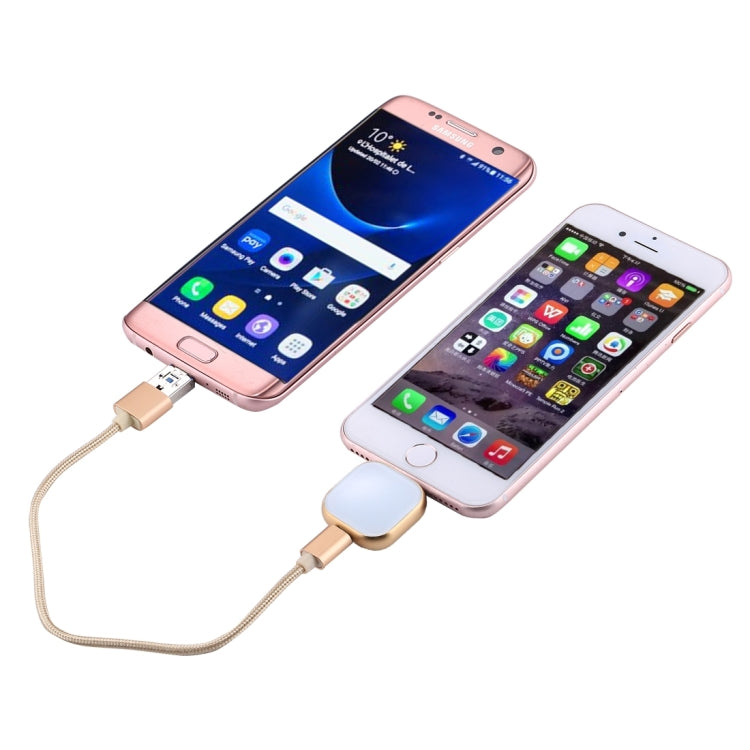 RQW-18S 8 Pin 32GB Multi-functional Flash Disk Drive with USB / Micro USB to Micro USB Cable(Gold) - free shipping - PMC Jewellery - Order now!