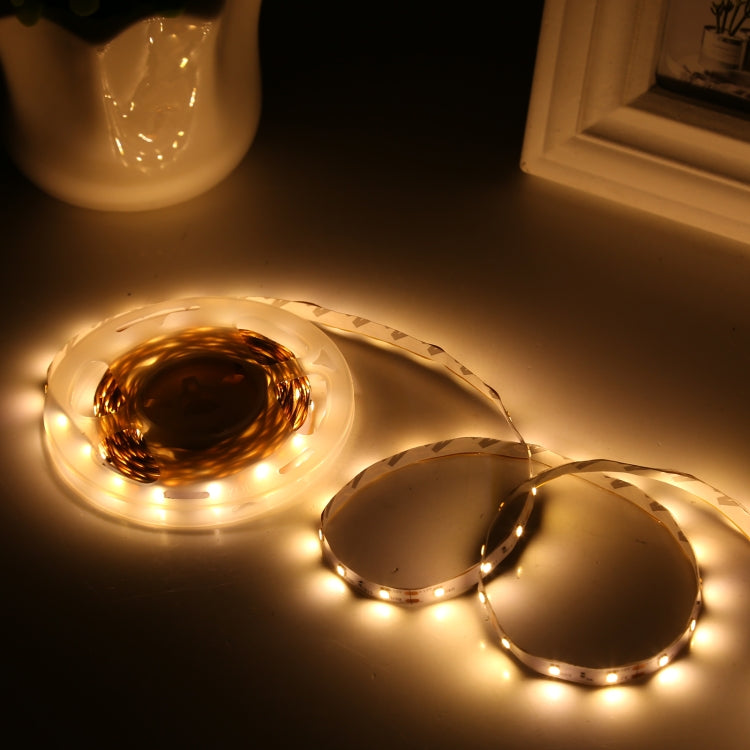 2pcs Bare Board 5050 SMD RGB LED Rope Light, 30 LED/m, Length: 5m, 12V 2A 100-240V, with 24 Keys Doodle Controller (EU Plug) - Bare Board Light by PMC Jewellery | Online Shopping South Africa | PMC Jewellery | Buy Now Pay Later Mobicred