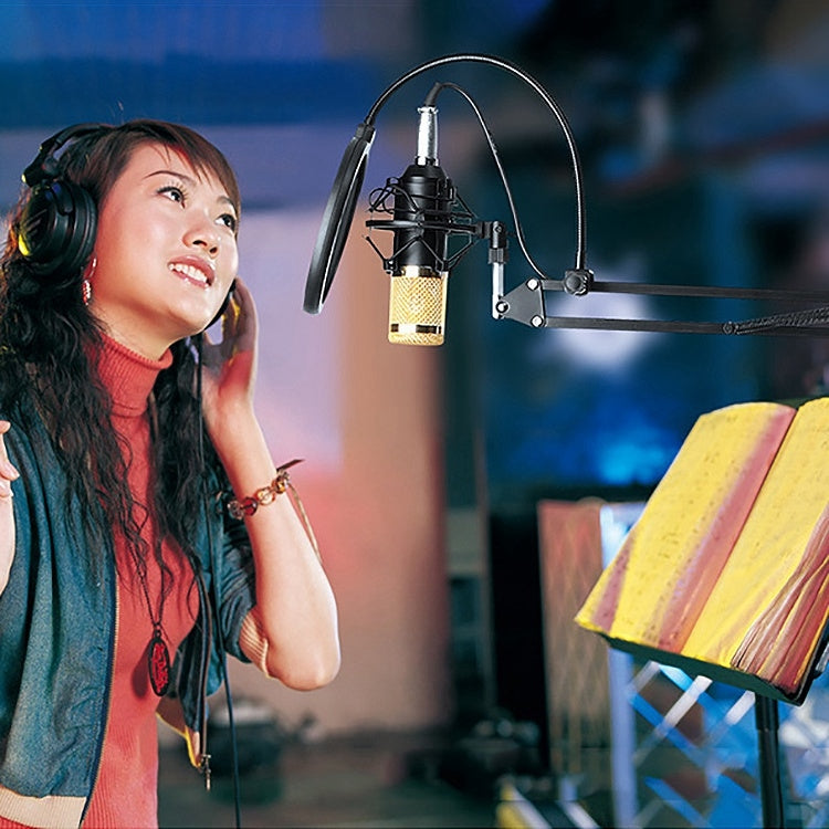 BM-800 3.5mm Studio Recording Wired Condenser Sound Microphone with Shock Mount, Compatible with PC / Mac for Live Broadcast Show, KTV, etc.(Black) - Microphone by PMC TechLife | Online Shopping South Africa | PMC TechLife | Buy Now Pay Later Mobicred