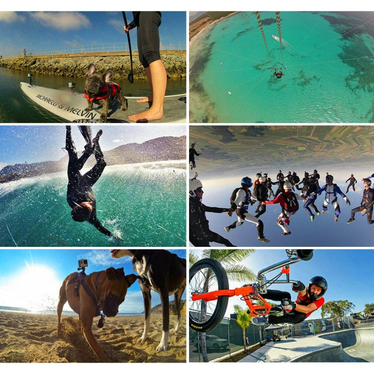 PULUZ 45 in 1 Accessories Ultimate Combo Kits (Chest Strap + Suction Cup Mount + 3-Way Pivot Arms + J-Hook Buckle + Wrist Strap + Helmet Strap + Surface Mounts + Tripod Adapter + Storage Bag + Handleb ... for GoPro, Insta360, DJI and Other Action Cameras - by PULUZ | Online Shopping South Africa | PMC Jewellery | Buy Now Pay Later Mobicred