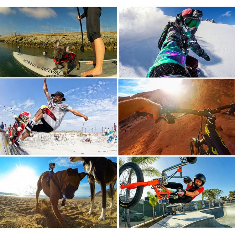 PULUZ 45 in 1 Accessories Ultimate Combo Kits with Orange EVA Case (Chest Strap + Suction Cup Mount + 3-Way Pivot Arms + J-Hook Buckle + Wrist Strap + Helmet Strap + Surface Mounts + Tripod Adapter + ... for GoPro, Insta360, DJI and Other Action Cameras - by PULUZ | Online Shopping South Africa | PMC Jewellery | Buy Now Pay Later Mobicred