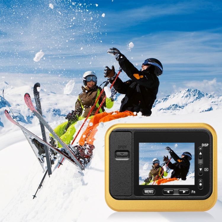 PULUZ for Sony RX0 Aluminum Alloy Protective Cage + 37mm UV Filter Lens + Lens Sunshade with Screws and Screwdrivers(Gold)
