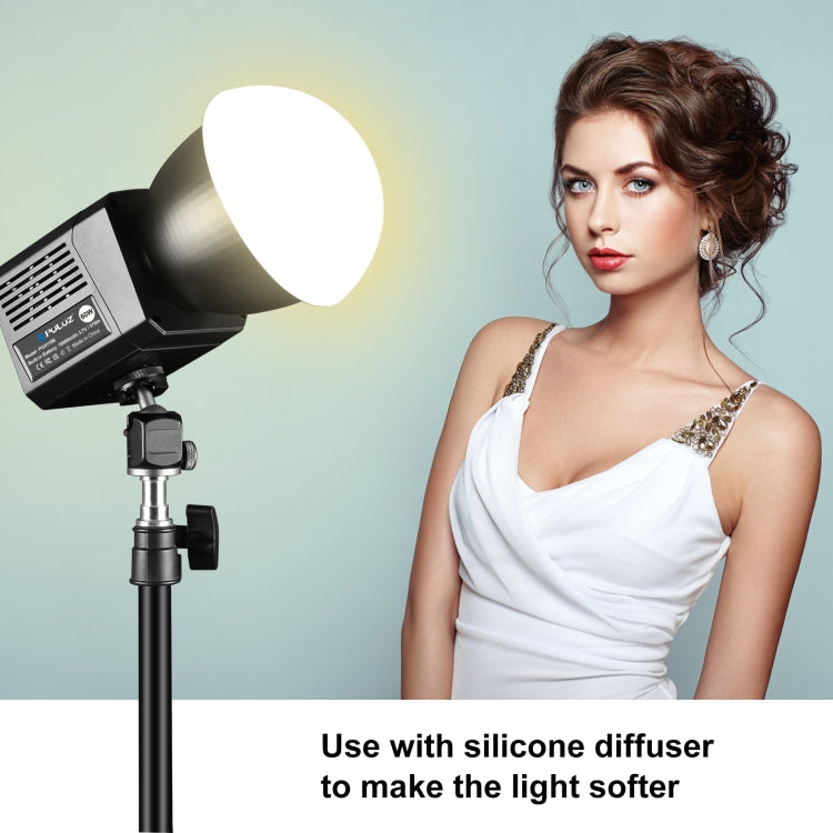 PULUZ 60W Studio Video Light 2500K-6500K Dual Color Temperature Professional Photography Fill Light (Black) - free shipping - PMC Jewellery - Order now!