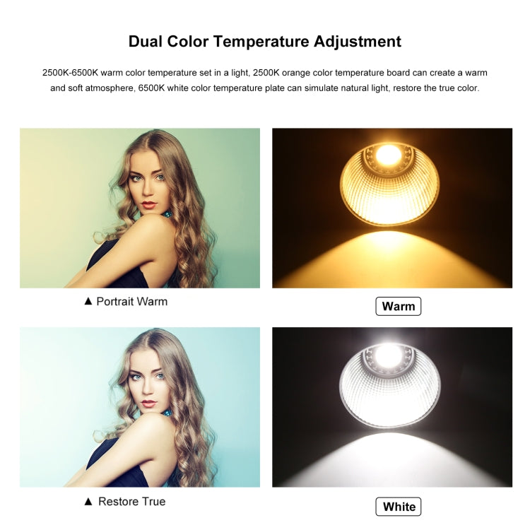 PULUZ 60W Studio Video Light 2500K-6500K Dual Color Temperature Professional Photography Fill Light (Black) - free shipping - PMC Jewellery - Order now!