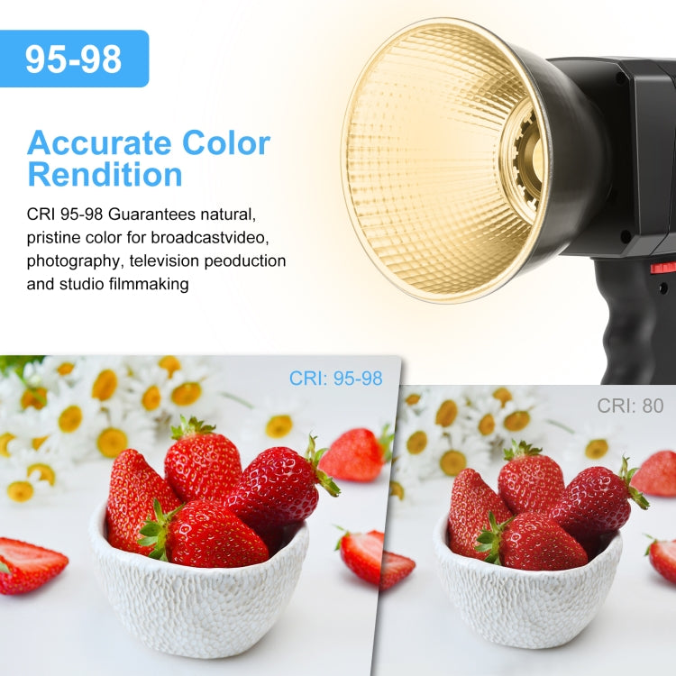 PULUZ 60W Studio Video Light 2500K-6500K Dual Color Temperature Professional Photography Fill Light (Black) - free shipping - PMC Jewellery - Order now!