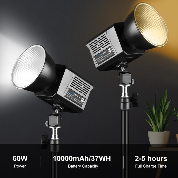 PULUZ 60W Studio Video Light 2500K-6500K Dual Color Temperature Professional Photography Fill Light (Black) - free shipping - PMC Jewellery - Order now!