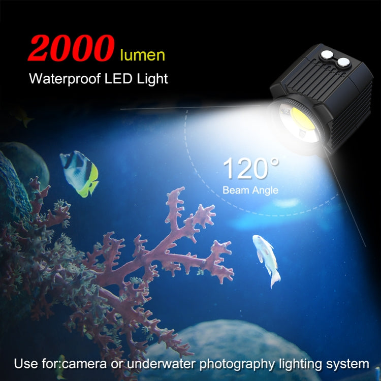 PULUZ 60m Underwater LED Photography Fill Light 7.4V/1100mAh Diving Light for GoPro, Insta360, DJI and Other Action Cameras(Black) - free shipping - PMC Jewellery - Order now!