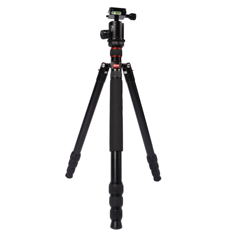 Triopo MT-2804C Adjustable Portable Aluminum Tripod with NB-2S Ball Head for Canon Nikon Sony DSLR Camera(Black) - free shipping - PMC Jewellery - Order now!