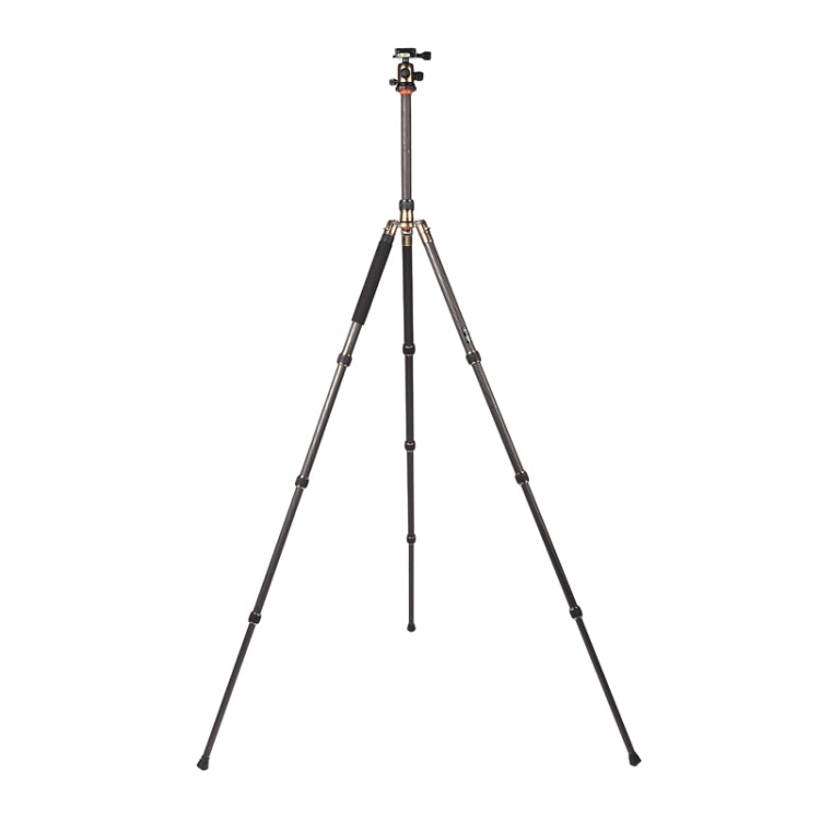 Triopo GT-2504X8.C Adjustable Portable Carbon Fiber Tripod with B-1 Aluminum Ball Head for Canon Nikon Sony DSLR Camera