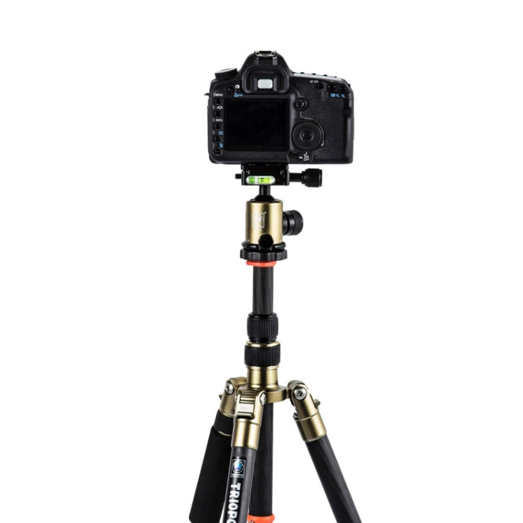 Triopo GT-2505x8.C Adjustable Portable Carbon Fiber Tripod (Gold) with B-1 Aluminum Ball Head (Black) for Canon Nikon Sony DSLR Camera