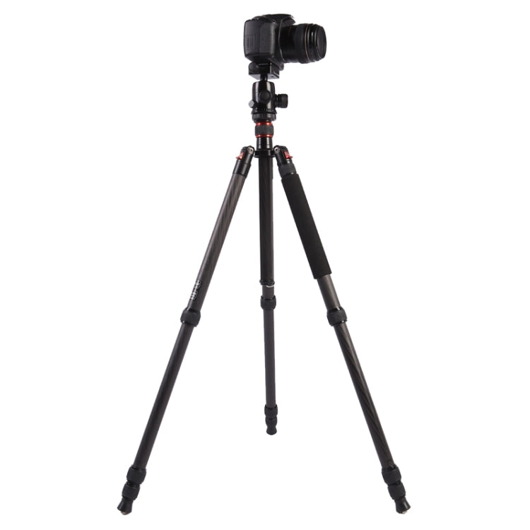 Triopo GT-2804X8.C Adjustable Portable Carbon Fiber Tripod with B-2 Aluminum Ball Head for Canon Nikon Sony DSLR Camera(Black)