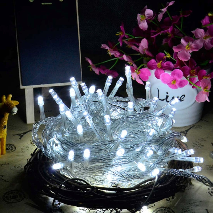 Water-resistant String Light, Length: 10m, 100 LED Light with Controller, Flashing / Fading / Chasing Effect, AC 220V, EU Plug(White Light)