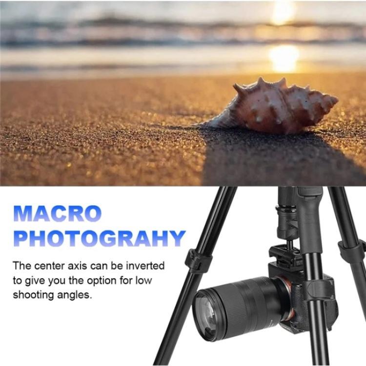YUNTENG VCT-180 Selfie Stick Foldable Photography Camera Tripod Live Streaming Stand - free shipping - PMC Jewellery - Order now!