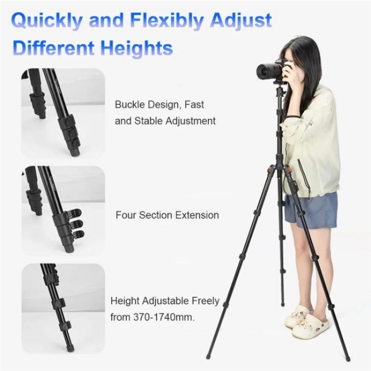 YUNTENG VCT-180 Selfie Stick Foldable Photography Camera Tripod Live Streaming Stand - free shipping - PMC Jewellery - Order now!