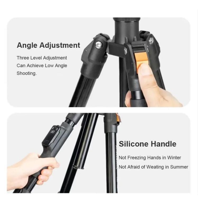 YUNTENG VCT-180 Selfie Stick Foldable Photography Camera Tripod Live Streaming Stand - free shipping - PMC Jewellery - Order now!