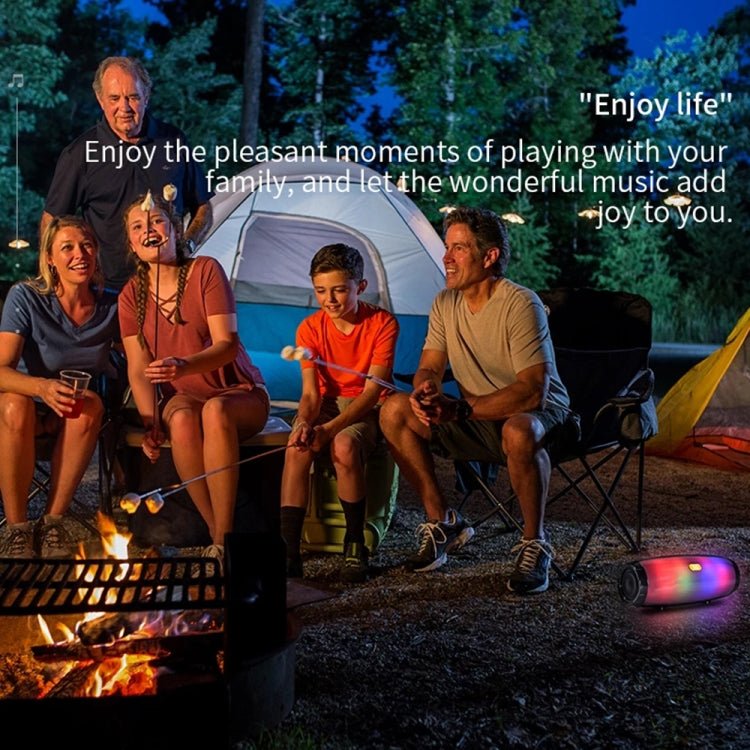 T&G TG165 5W*2 Portable Wireless Speaker Speaker With Dancing LED Flashing Light Mp3 AUX USB FM Radio Stereo Subwoofer(Black) - free shipping - PMC Jewellery - Order now!