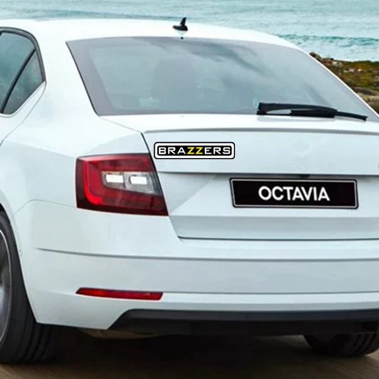 10 PCS BRAZZERS Car Sticker Auto Decals foe Car Styling, Size: 4.9x22.5cm