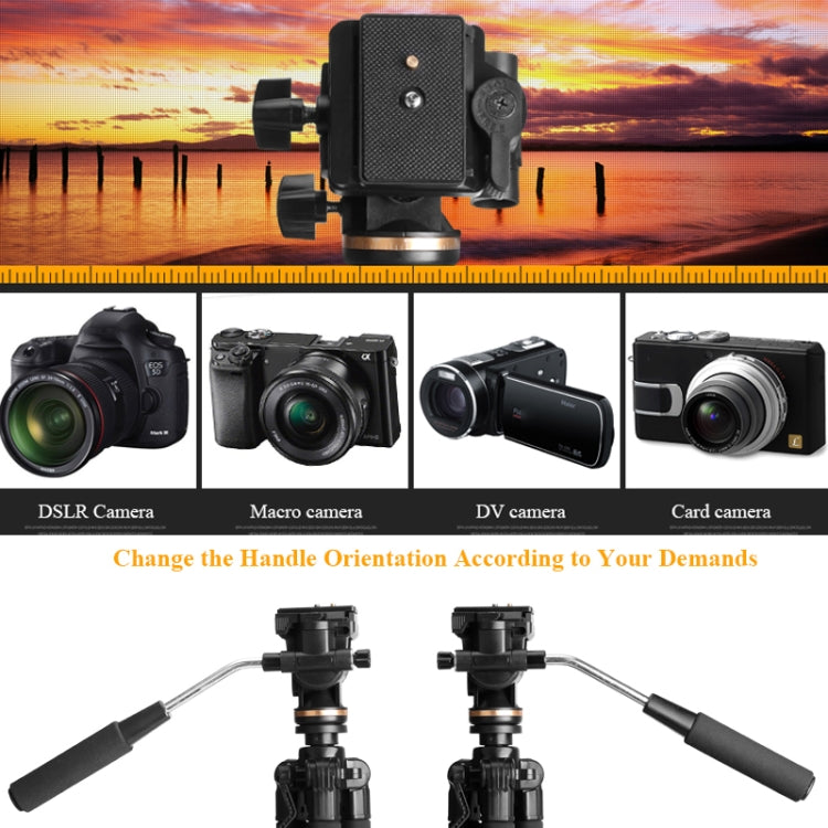 QingZhuangShiDai Q111S Aluminum Alloy Mobile Phone Camera Photography Tripod(Black) - free shipping - PMC Jewellery - Order now!