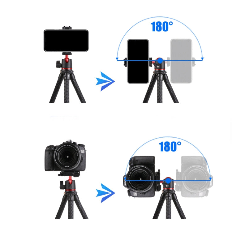 Portable SLR Camera Mobile Phone Live Mini Desktop Tripod Stand With Head