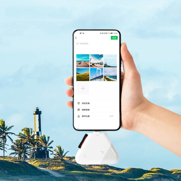 LCOP 5 in 1 Triangle Mobile Phone Computer Card Reader OTG Card Reader - by PMC Jewellery | Online Shopping South Africa | PMC Jewellery | Buy Now Pay Later Mobicred