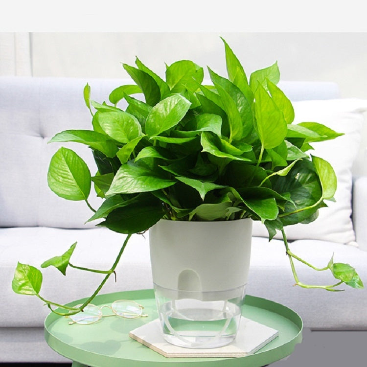 Transparent Plastic Double-Layer Water Storage Automatic Water-Absorbing Flowerpot, Size: A703 Caliber 8.2cm(White Transparent Basin)