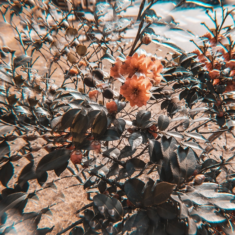 77mm 77mm Kaleidoscope Prism Foreground Blur Camera Glass Filter Lens - free shipping - PMC TechLife - Order now!