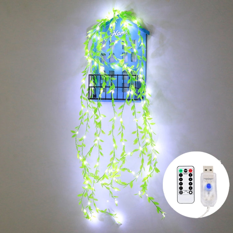 100 LEDs Simulation Planting Copper Wire Decorative Light, Spec: USB + RC(White Light)
