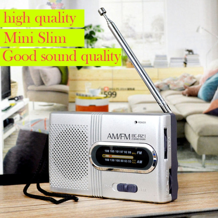 INDIN BC-R21 AM/FM Portable Radio Old Man Morning Practice Player(Silver Gray) - Radio Player by PMC TechLife | Online Shopping South Africa | PMC TechLife