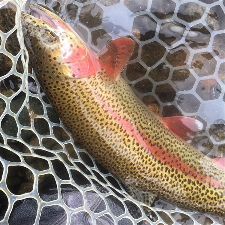 Transparent Soft Rubber Fishing Net Replacement Bag, Size: Medium 100cm - Fishing Net by PMc TechLife | Online Shopping South Africa | PMc TechLife | Buy Now Pay Later Mobicred