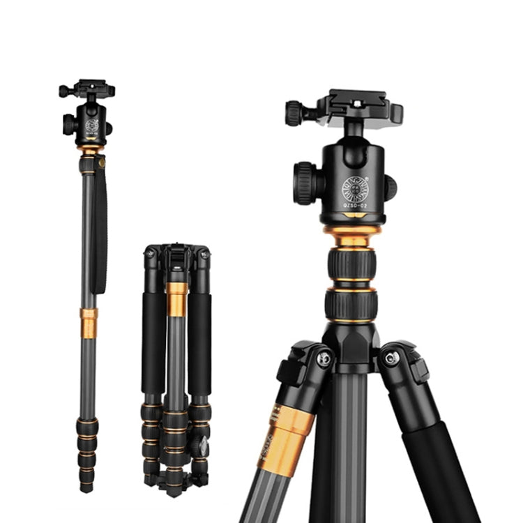 QingZhuangShiDai Q666C Portable Travel Photography Ball Head SLR Camera Carbon Fiber Tripod(Black) - free shipping - PMC Jewellery - Order now!