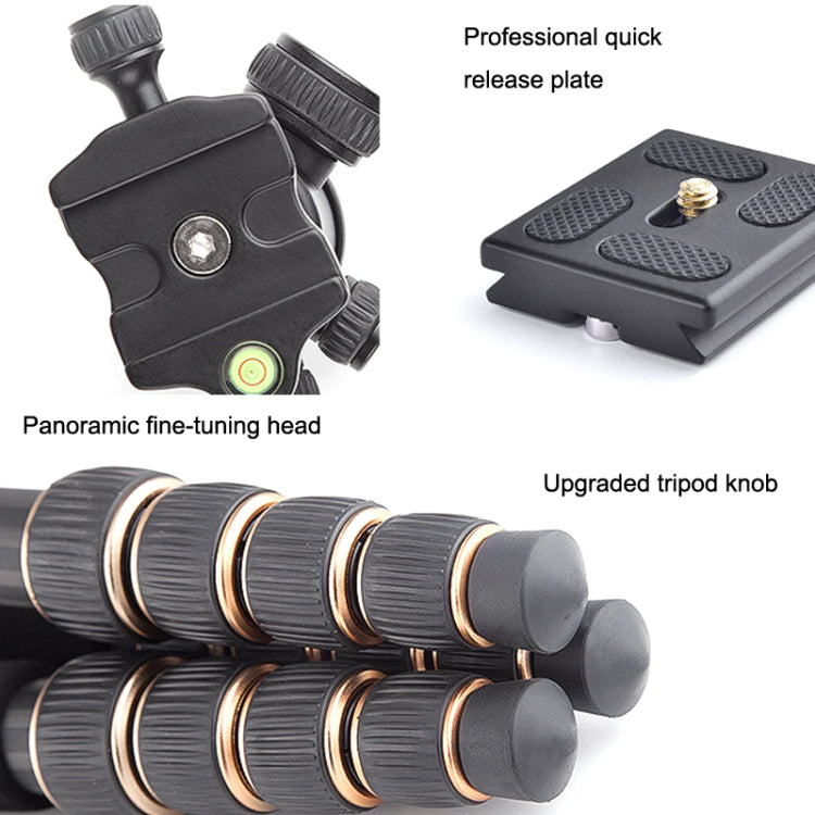 QingZhuangShiDai Q666C Portable Travel Photography Ball Head SLR Camera Carbon Fiber Tripod(Black)
